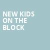 New Kids On The Block, Mystic Lake Amphitheatre, Minneapolis