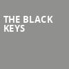 The Black Keys, Target Center, Minneapolis