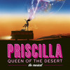 Priscilla Queen of the Desert at the Orpheum Theater, Minneapolis