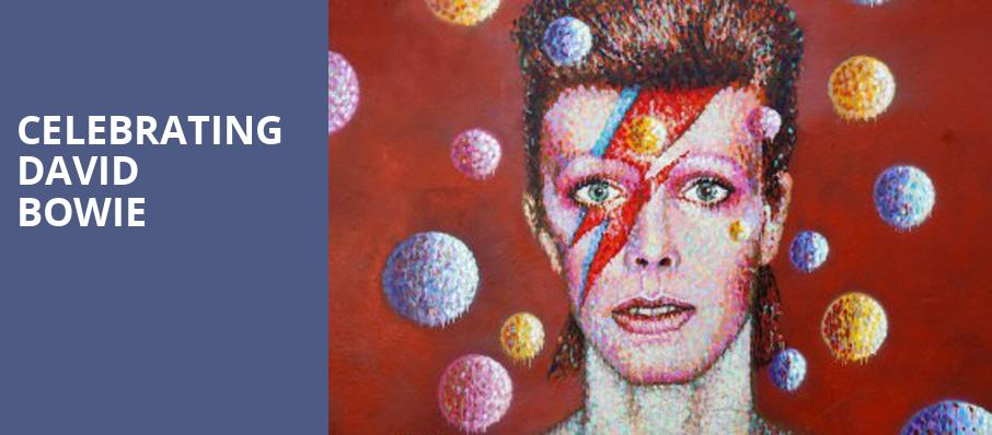 Celebrating David Bowie, Mystic Lake Showroom, Minneapolis