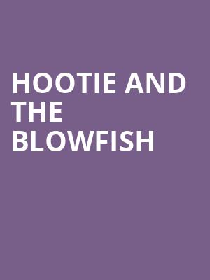 Hootie and the Blowfish, Somerset Amphitheater, Minneapolis