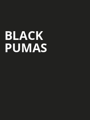 Black Pumas, Surly Brewing Festival Field, Minneapolis