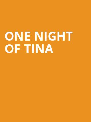 One Night of Tina, Pantages Theater, Minneapolis