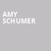 Amy Schumer, Northrop Auditorium, Minneapolis