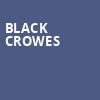 Black Crowes, Mystic Lake Showroom, Minneapolis