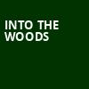 Into The Woods, Wurtele Thrust Stage, Minneapolis