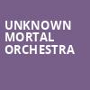 Unknown Mortal Orchestra, First Avenue, Minneapolis