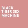 Black Tiger Sex Machine, Minneapolis Armory, Minneapolis