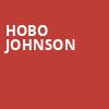 Hobo Johnson, First Avenue, Minneapolis