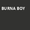 Burna Boy, Minneapolis Armory, Minneapolis