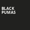 Black Pumas, Surly Brewing Festival Field, Minneapolis